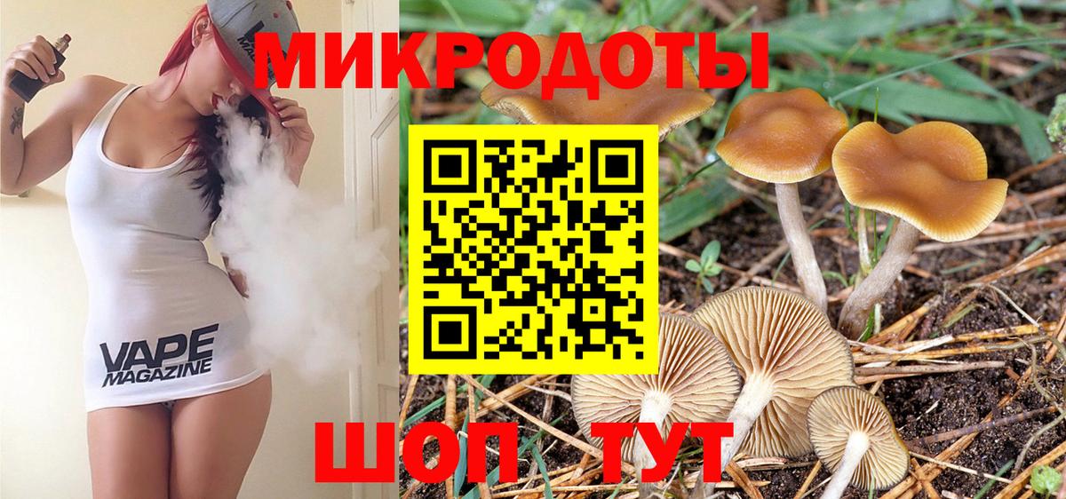 Галлюциногенные грибы прущие грибы Кохма
