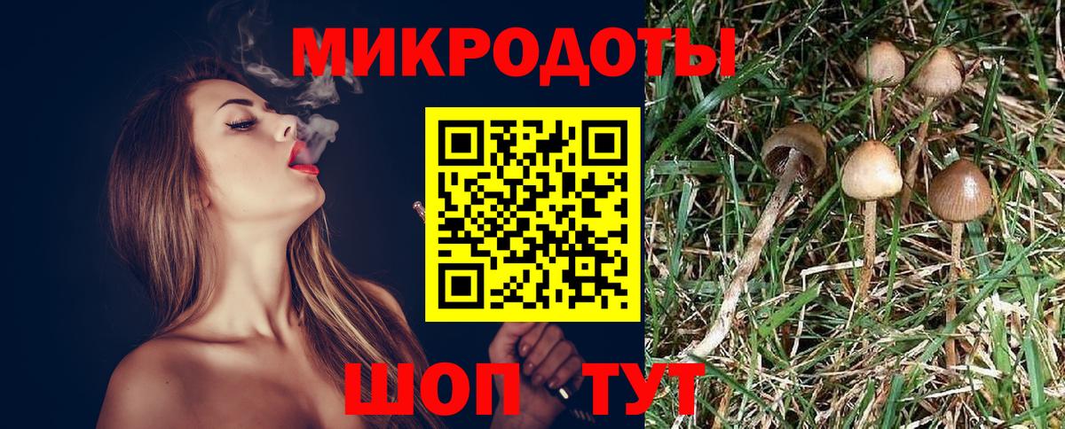 Галлюциногенные грибы ЛСД  Вход с VPN  Кохма  Псилоцибиновые грибы мухоморы 