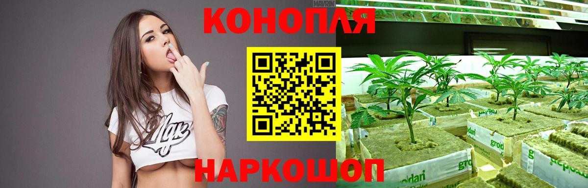 Бошки марихуана SATIVA & INDICA Кохма